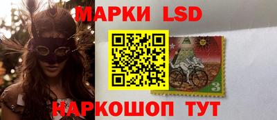 прущие грибы Гатчина