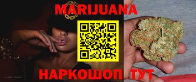 прущие грибы Гатчина