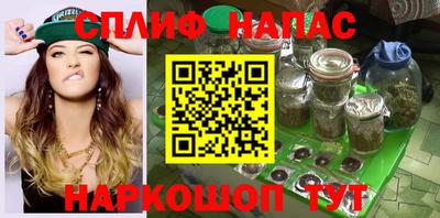 прущие грибы Гатчина