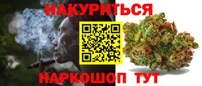 прущие грибы Гатчина